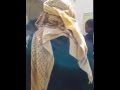 تراند اليوم : من هي ”سهير القيسي” فاتنة الجمال ”الزوجة الجديدة” لحاكم دبي.. كيف تعرف عليها وعلاقة ذلك بهروب...