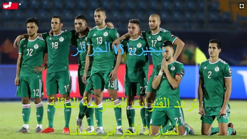 تردد القنوات المفتوحة وموعد مشاهدة مباراة الجزائر ونيجيريا غدا في مباريات نصف نهائي كأس أمم إفريقيا...