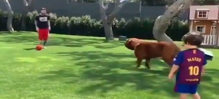 شاهد.. ميسي وولداه يضعون كلبهم في منتصف “مثلث برمودا”