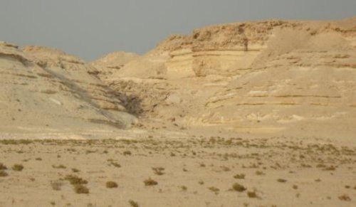لماذا يجب ألا تفوت زيارة صحراء الصخير في البحرين؟