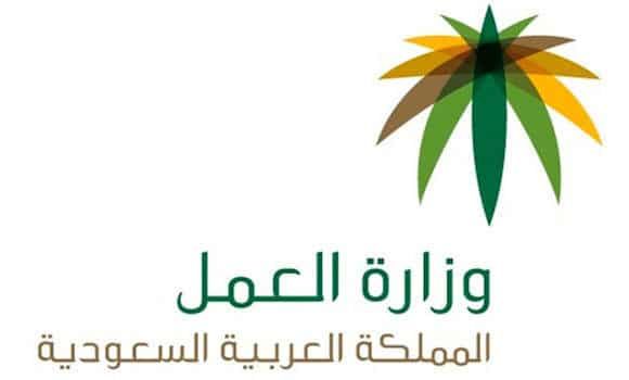 استعلام عن أقامة وافد عن طريق موقع وزارة العمل السعودية في إطار خطة الإصلاح الاقتصادي 2030