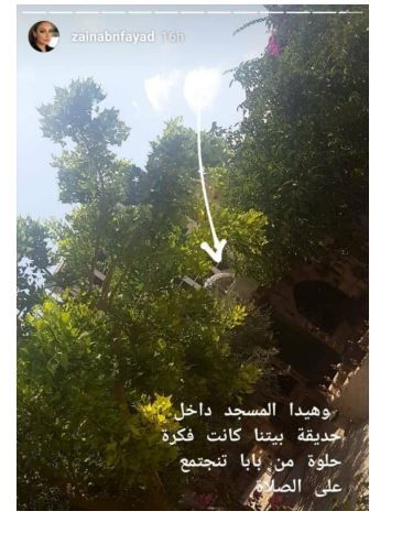 تراند اليوم : ابنة هيفا تستعرض منزل والدها – صور