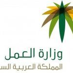 “العمل” توقف إعفاء المنشآت الصغيرة من رخص المقابل المالي
