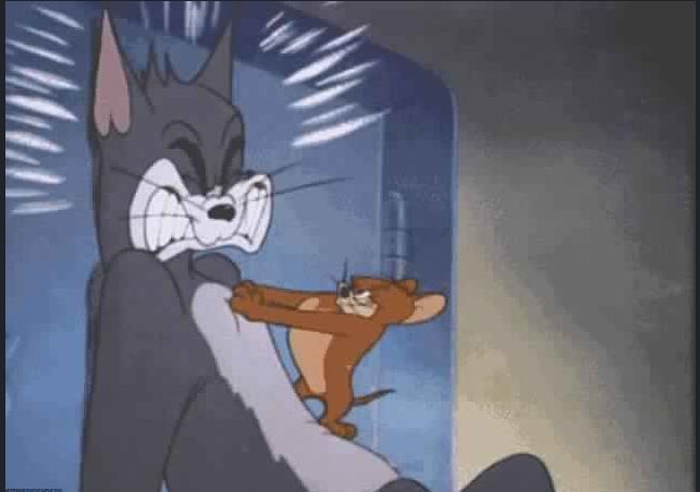 اضبط تردد قناة توم وجيري 2019 الجديد علي النايل سات Tom and Jerry