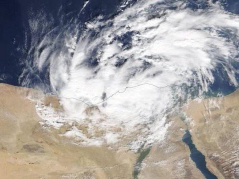 البقرة الوحشية تزيح النمر .. آخر تطورات إعصار مها والعاصفة كيار