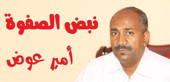 الزعيم و النمر الشنداوي.. بقلم امير عوض
