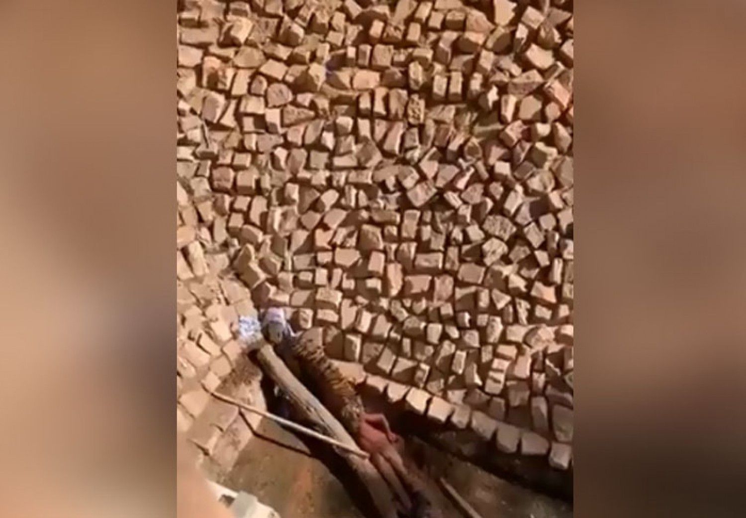 واقعة مفجعة.. نمر يفترس عاملاً داخل حديقة حيوان بالرياض (فيديو)