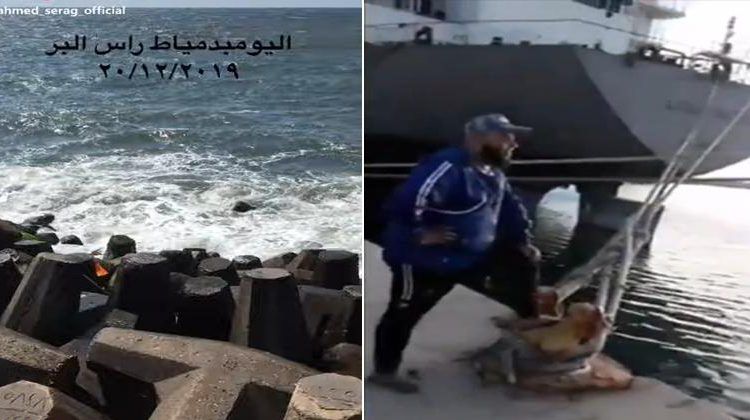 شاهد.. بعد تداول مقاطع الحوت الأزرق.. الكشف رسميا عن حقيقة الأصوات المخيفة بسواحل البحر المتوسط