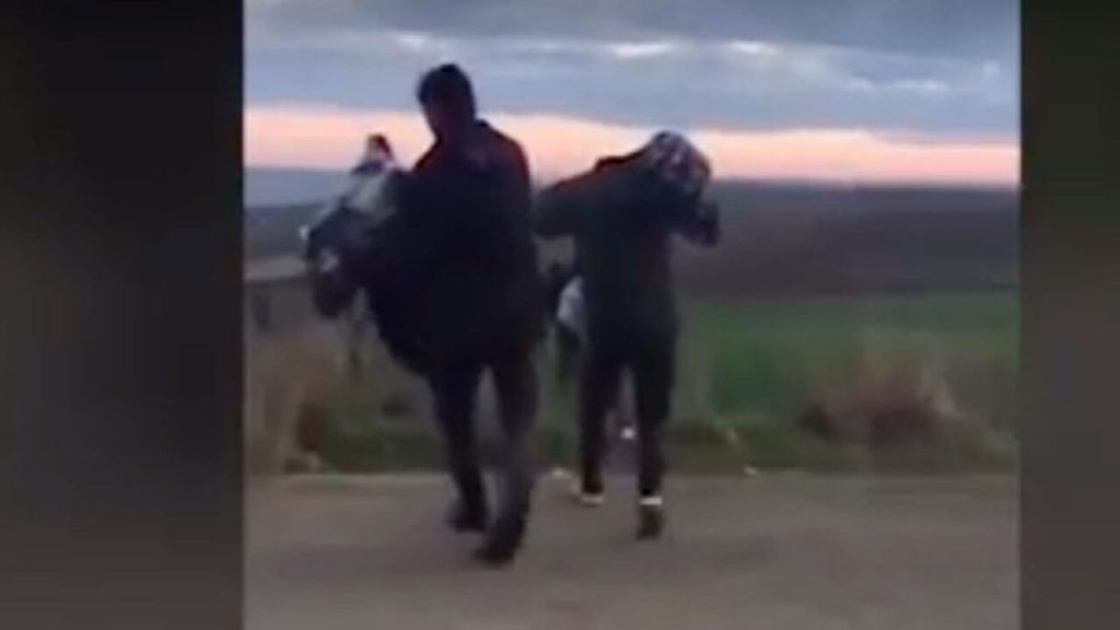 شاهد .. مواطن تركي يهين اللاجئين السوريين ويصفهم ب ” الكلاب الأوغاد “