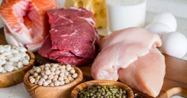 س وج.. كل ما تريد معرفته عن أعراض نقص البروتين بالجسم وأسبابه وطرق العلاج