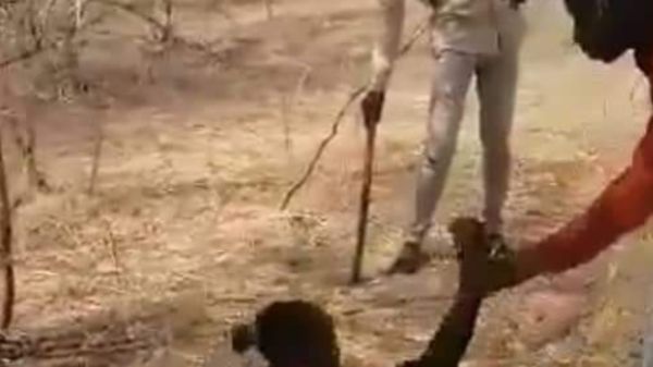 جديد اغتصاب فتاة النيل الذي هز السودان.. فيديو صادم لأبيها