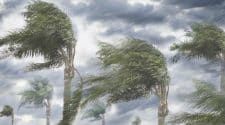 سحب رعدية ورياح تحد الرؤية على المدينة المنورة