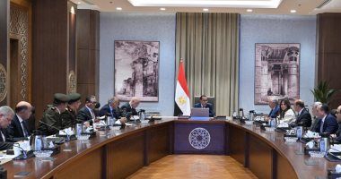 رئيس الوزراء يتابع موقف أعمال تطوير بحيرة البرلس