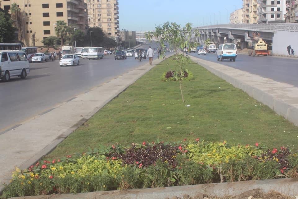 تطوير وتجميل شارع أحمد عرابى بحى العجوزة.. صور