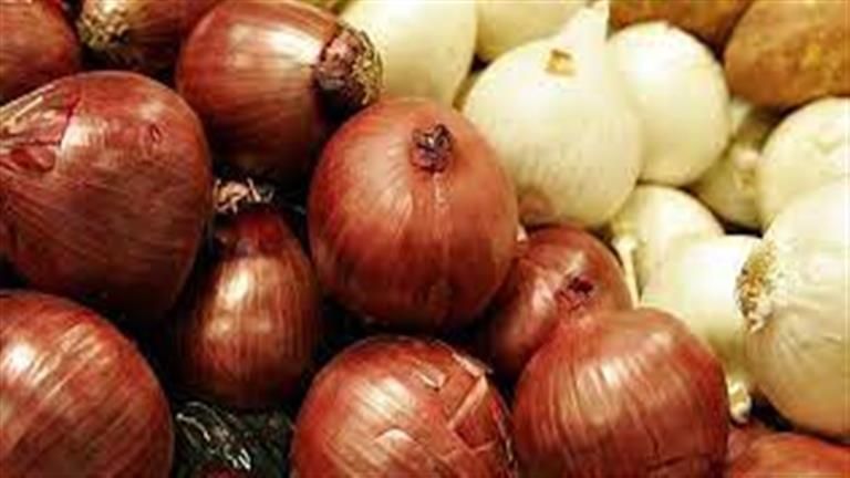 النيابة العامة تقرر تسليم 567 طنا من البصل للجهات التابعة لوزارة التموين لبيعها للمواطنين