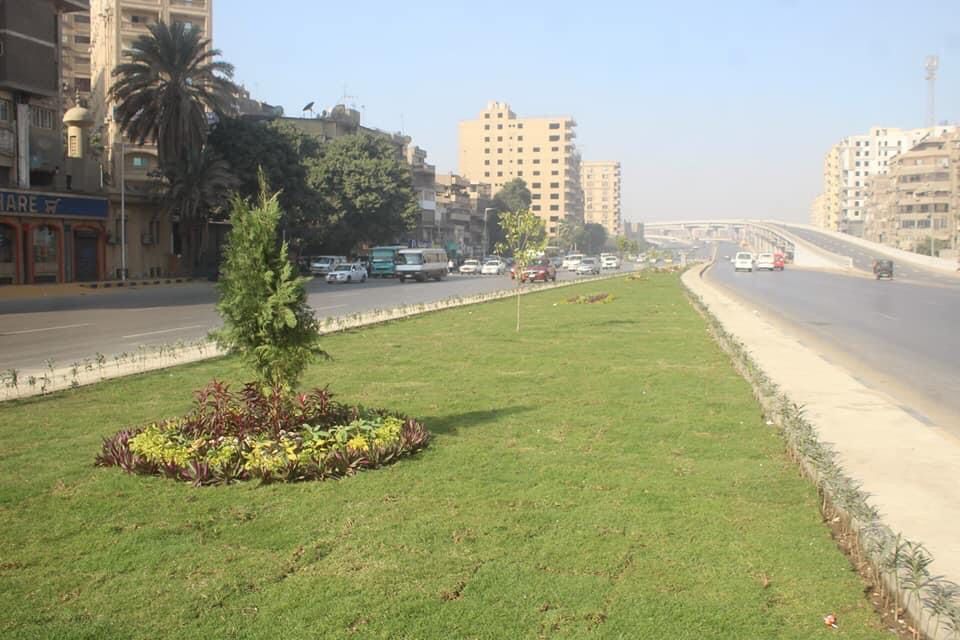 تطوير وتجميل شارع أحمد عرابى بحى العجوزة.. صور