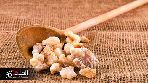 اشرب منقوع لبان الذكر على الريق وبعد 7 أيام هذا ما سوف يحدث لجسمك وفق أحدث الدراسات العلمية
