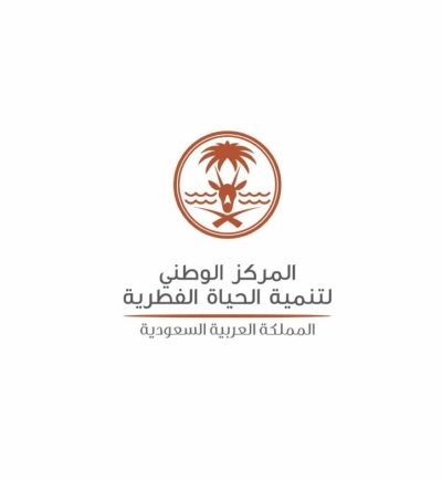 انخفاض درجات الحرارة بالشرقية والرياض وأمطار في عدد من المناطق