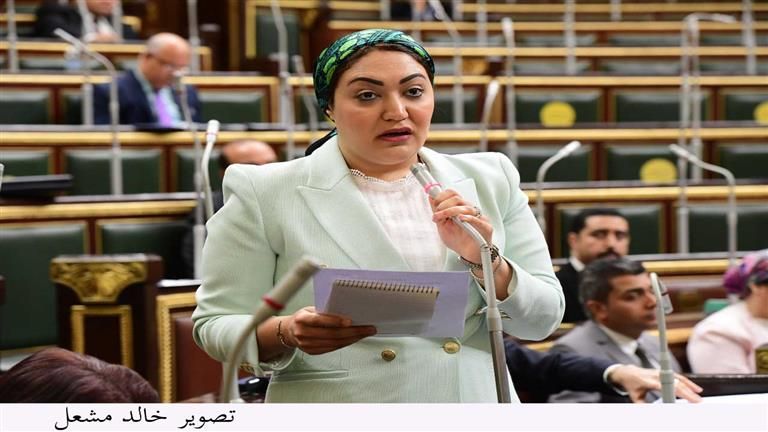 مخططات شيطانية لتصفية القضية.. استنكار برلماني بشأن تصريحات متطرفة لقيادات إسرائيلية -تفاصيل
