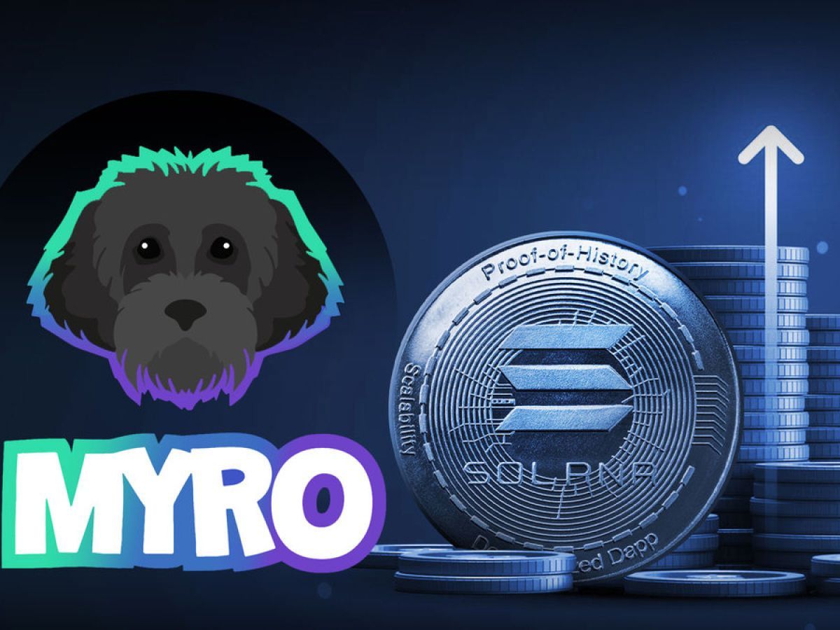 ارتفاع مثير للعملة الرقمية (MYRO) القائمة على سولانا: هل هي عملة BONK الجديدة؟