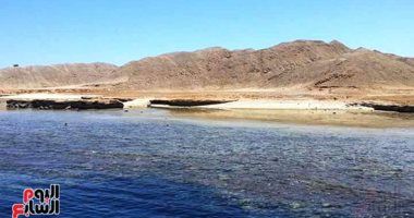 14خطوة لتنشيط السياحة البيئية فى المحميات الطبيعية.. تعرف عليها