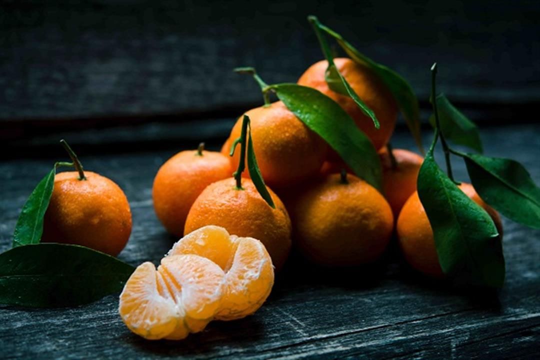 أخصائية تغذية تكشف عن أطعمة تجنب تناول اليوسفي معها