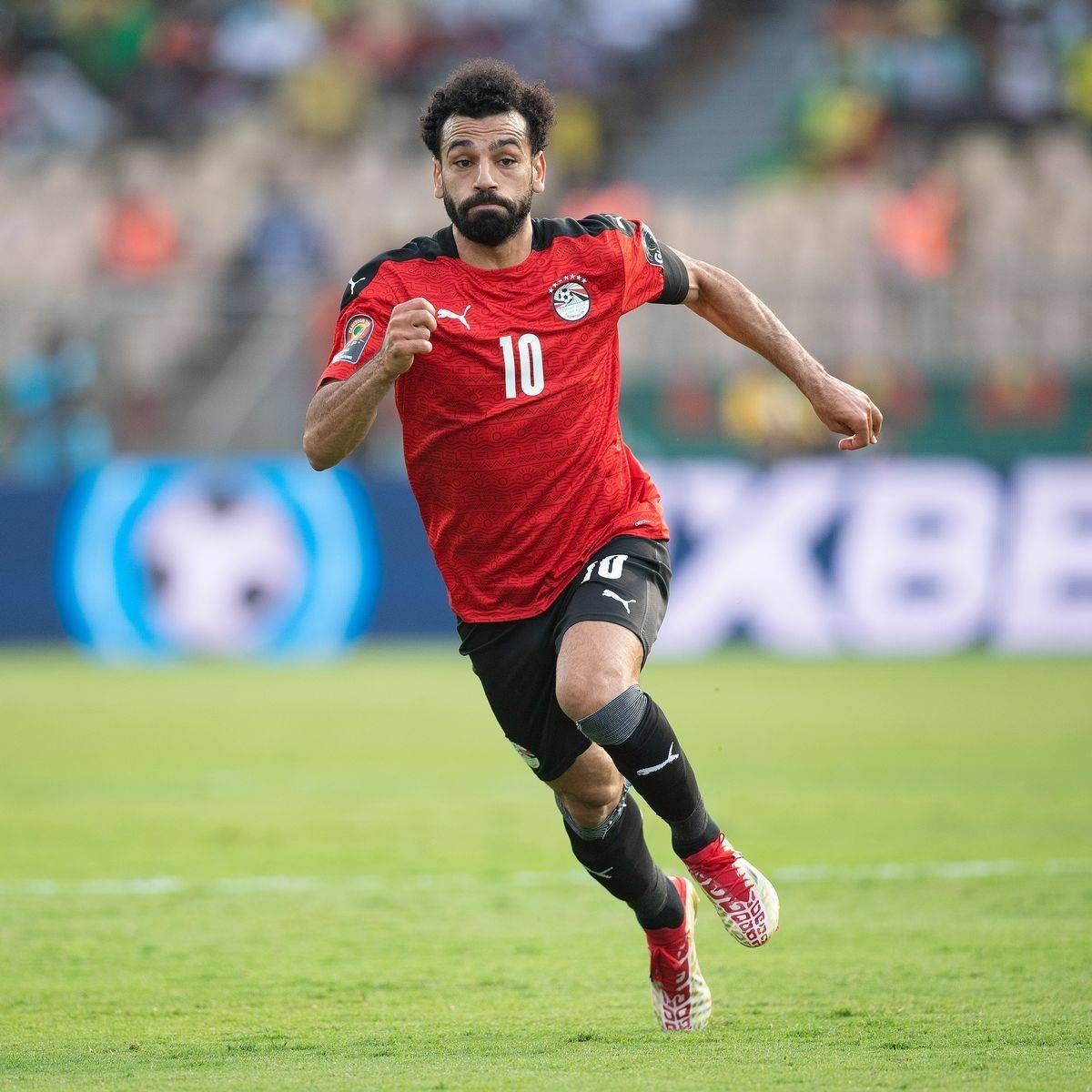 كأس أفريقيا.. محمد صلاح ملك دون تاج