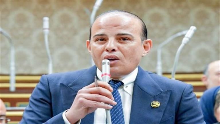 خفض عجز الميزان التجاري وتوفير العملة الصعبة.. "اقتصادية النواب" تشيد بالتوسع في الصادرات المصرية