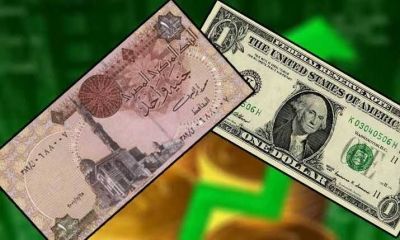 تراند اليوم : صندوق النقد يكشف توقعاته لسعر صرف الجنيه المصري مقابل الدولار حتى 2028