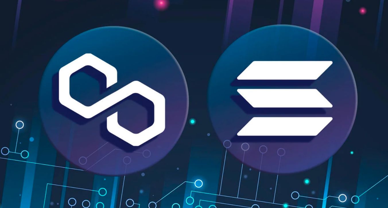 شبكة “Polygon” تتفوق على سولانا من حيث حجم تداول NFT