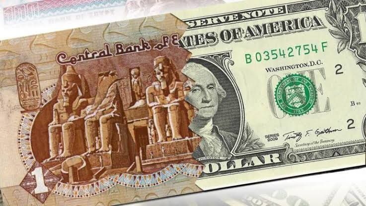 وثيقة حكومية تكشف سعر الدولار مقابل الجنيه في 2024