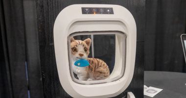 تكنولوجيا: Flappie AI باب ذكى بالذكاء الاصطناعى يمنع قطتك من ادخال الفئران الميتة للمنزل