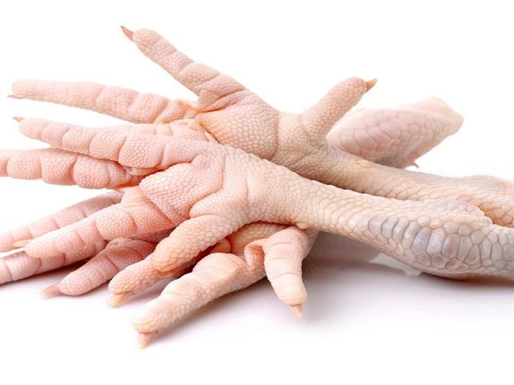 هذا ما يحدث لجسمك عند تناول طبق من أرجل الفراخ.. مفاجأة