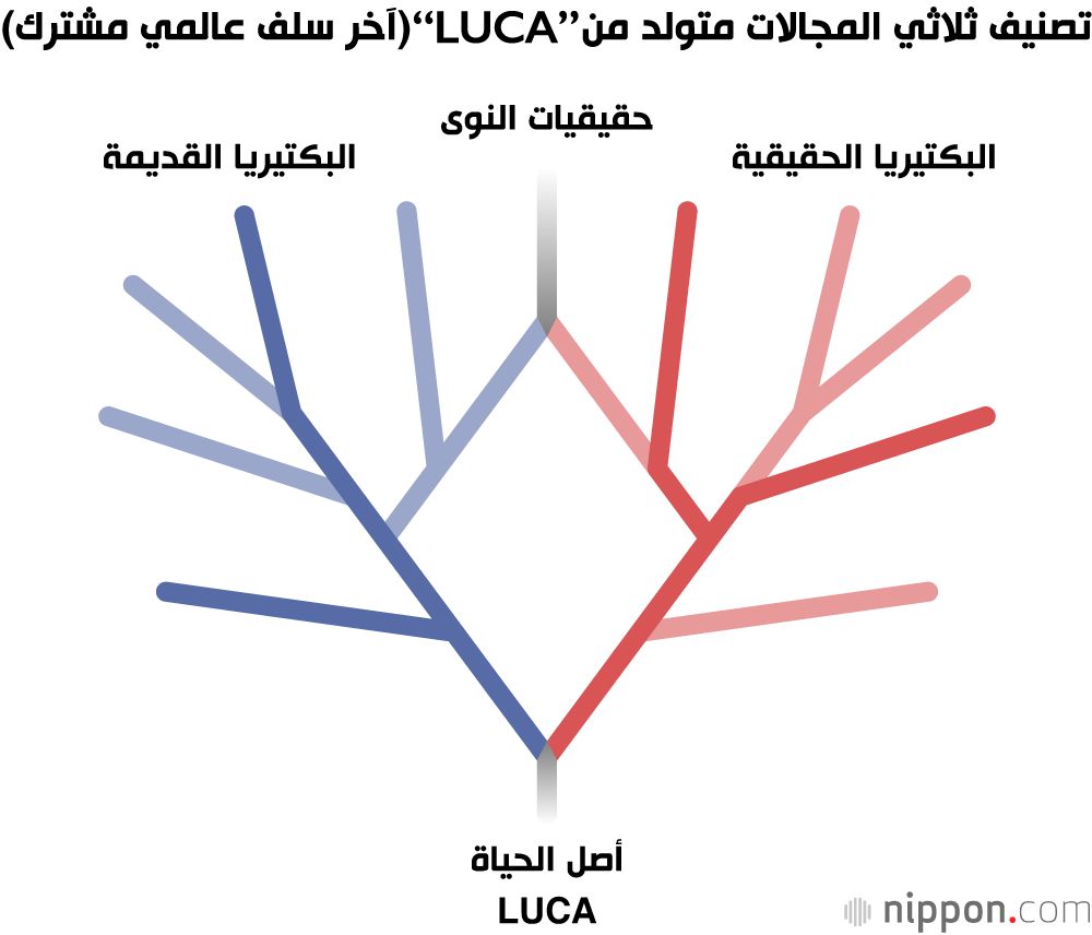 اليابان | تهديد الإنفلونزا.. إعادة استكشاف طبيعة الفيروسات