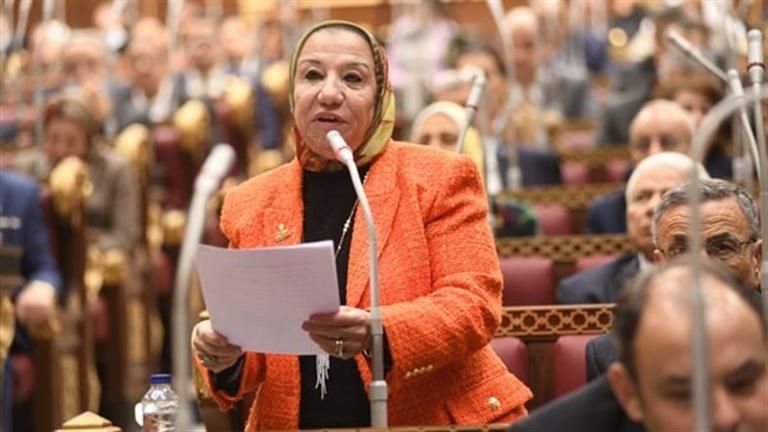 برلمانية: وثيقة التوجهات الاقتصادية تكشف أولويات التحرك الحكومي السنوات المقبلة
