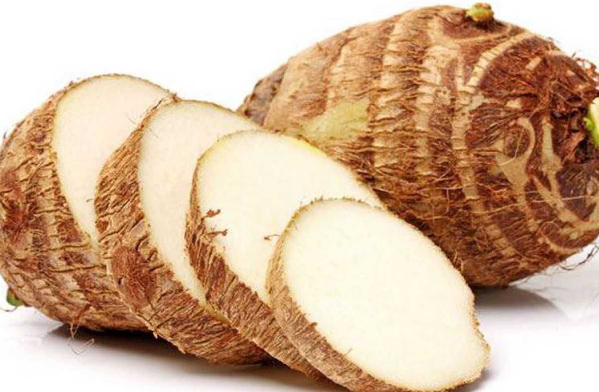 تراند اليوم : تعرف على فوائد القلقاس لتقوية المناعة والحماية من أمراض الشتاء