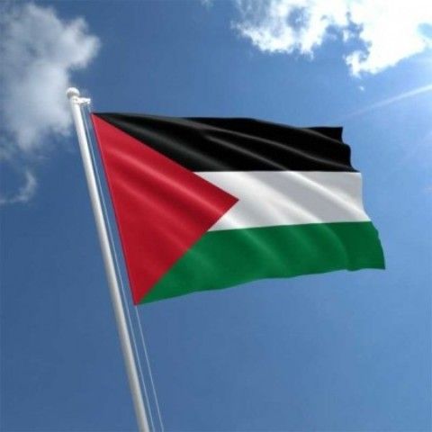 كيف تحلل «فورين بوليسي» مصير حرب غزة؟