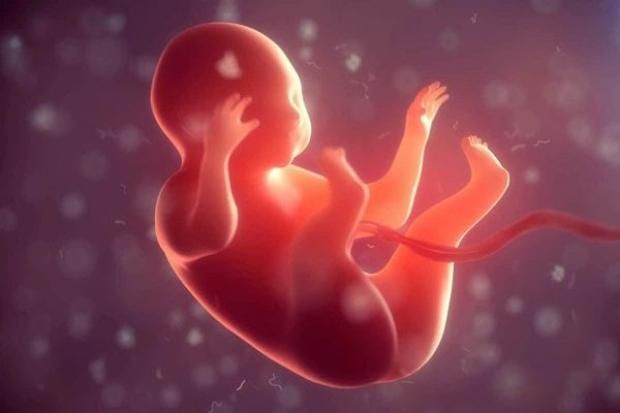 5 نصائح لحماية الجنين من العدوى.. اعرفي النظام الغذائي الأفضل في الحمل