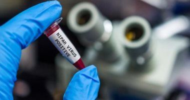 علماء بجامعة أكسفورد يختبرون أول لقاح في العالم لفيروس نيباه على غرار كورونا