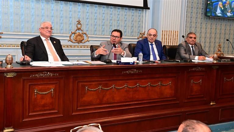 "زراعة النواب" تناقش خطة الحكومة لحل مشكلات مشروع الريف المصرى