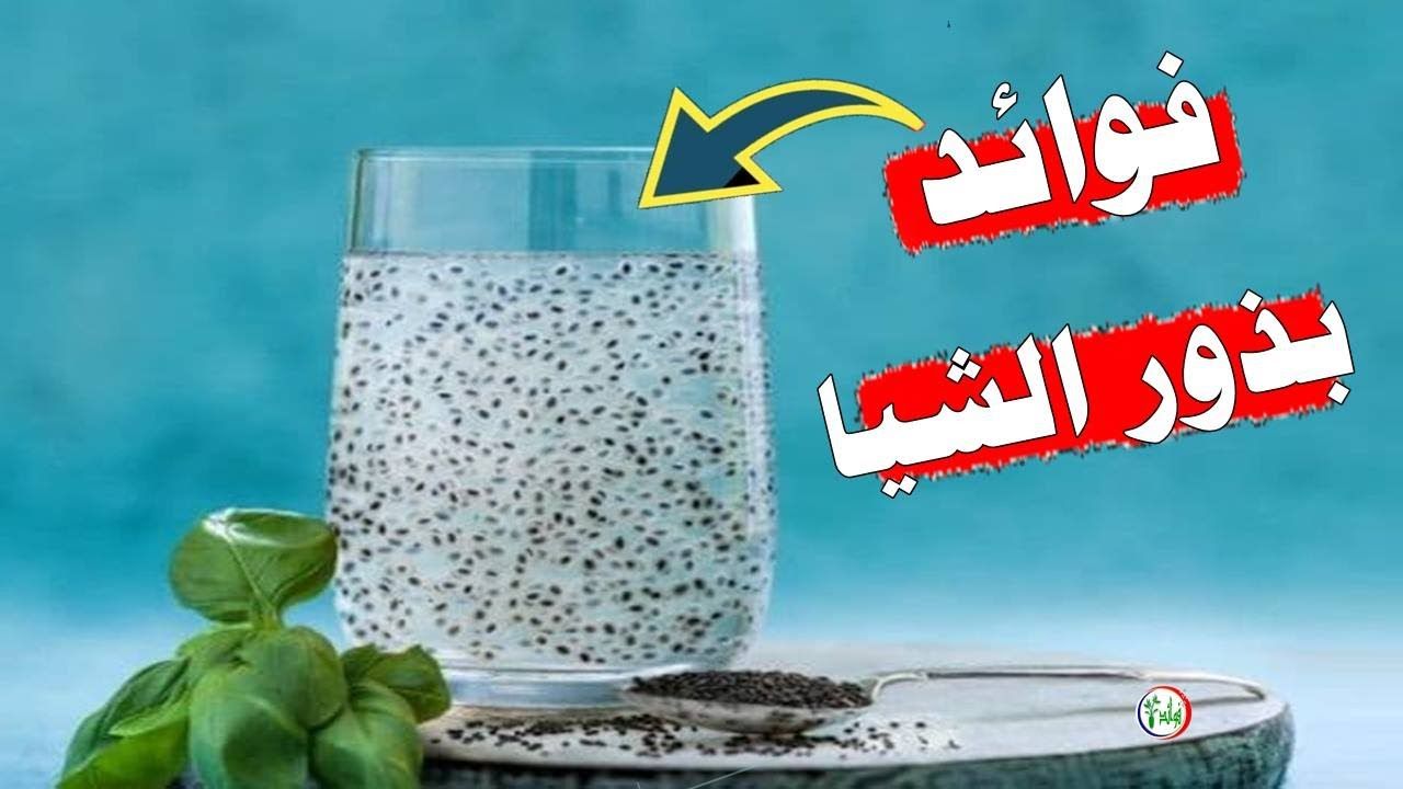 تراند اليوم : نتيجة مبهرة للتخسيس.. 10 فوائد صحية لـ بذور الشيا لا تعلمها