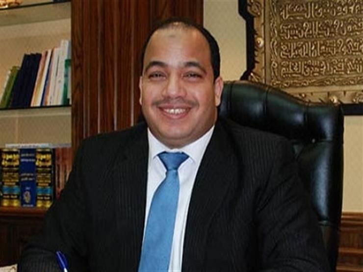 عبدالمنعم السيد: الإنتاج وتخفيض الواردات الحل الأمثل لإنقاذ الاقتصاد المصري
