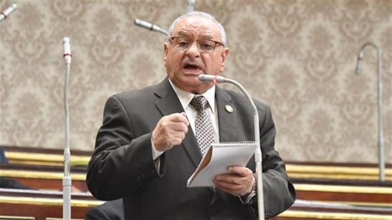 الأسعار ليس لها ضابط أو رابط.. هجوم برلماني ضد وزير التموين -تفاصيل