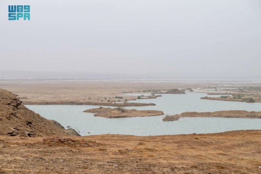 "بيئة الجوف" تبحث سبل التعاون لدعم أنشطة مركز تنمية المراعي بالمنطقة