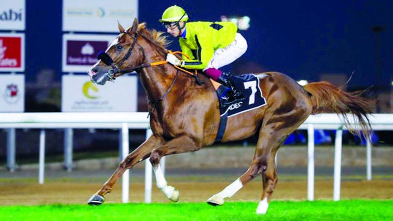 الامارات | رفع جوائز كأس رئيس الدولة للخيول إلى 4.5 ملايين درهم