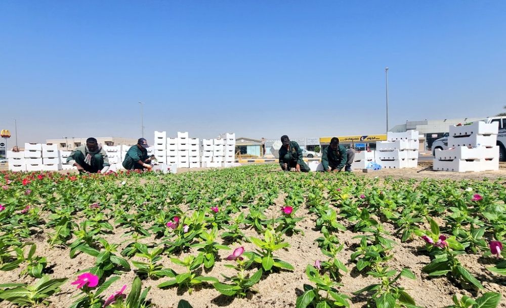 "بيئة الجوف" تبحث سبل التعاون لدعم أنشطة مركز تنمية المراعي بالمنطقة