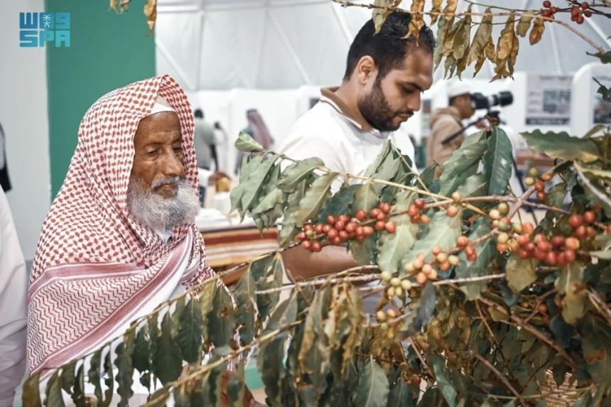 "مهرجان الباحة" يعزز الجدوى الاقتصادية لزراعة البن