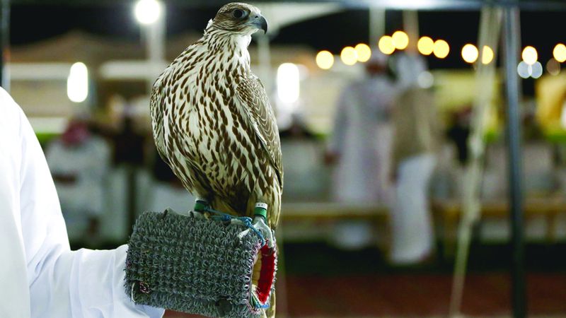 الامارات | «الظفرة» يصل محطته الختامية.. 2597 جائزة للفائزين