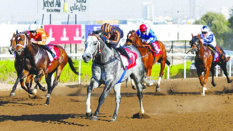 الامارات | «سوينغ فوت» و«راوي» بطلا «تحضيري جبل علي»