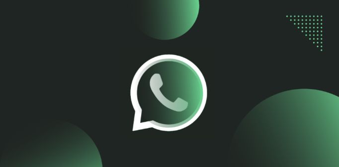 تكنولوجيا: الإصدار التجريبي الأخير من تطبيق WhatsApp يجلب إصلاحات في الكاميرة